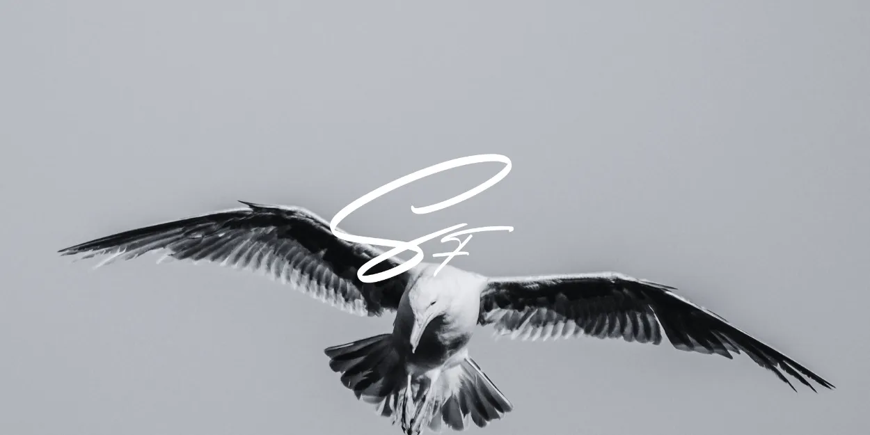 Purpose and Meaning